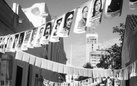 Madri coraggio. Le donne di Plaza de Mayo