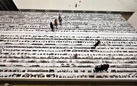 Sulle tracce dei migranti con la nuova installazione di Ai Weiwei
