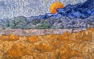 In arrivo a Padova i colori di Van Gogh