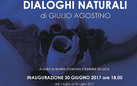 Giulio Agostino. Dialoghi naturali