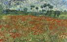 Van Gogh, tra il grano e il cielo. Lettere, tele e disegni presto a Vicenza