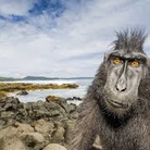 On Assignment, una vita selvaggia. Fotografie di Stefano Unterthiner