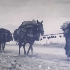 Pensare l'Emozione. Le Fotografie di Viaggio di Adriano Paltrinieri