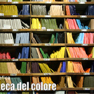 Erika Sereni. La biblioteca del colore