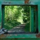 Sul ritorno del bosco. Giornate internazionali di studio sul paesaggio. XII Edizione