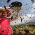 Pianeta Terra. Un mondo da salvare. Fotografie di Luca Bracali