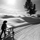 CARLO ORSI FOTOGRAFO. Immagini d’autore dal Trentino e dal mondo