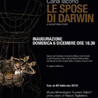 Carla Iacono. Le Spose di Darwin