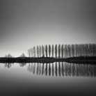 Pierre Pellegrini. Tracce d'inverno