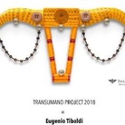 Eugenio Tibaldi. Transumand project 2018