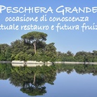 Dialoghi con la Reggia di Caserta - Peschiera Grande, occasione di conoscenza ​tra attuale restauro e futura fruizione