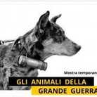 Gli Animali della Grande Guerra