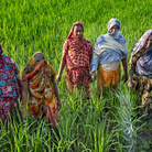 Romeo Civilli. Girls not brides. Spose bambine in Bangladesh