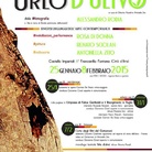 Urlo d'ulivo. Diversi linguaggi dell’arte contemporanea