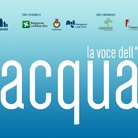 La Voce dell'Acqua